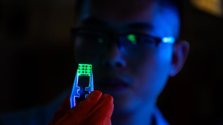 Muyi Zhang Holds Perovskite LED
