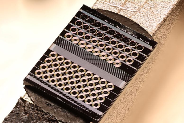 Fabricated Gallium Phosphide Photonic Chip