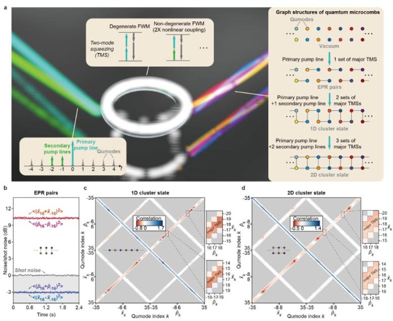 Cluster Quantum Microcombs Concept