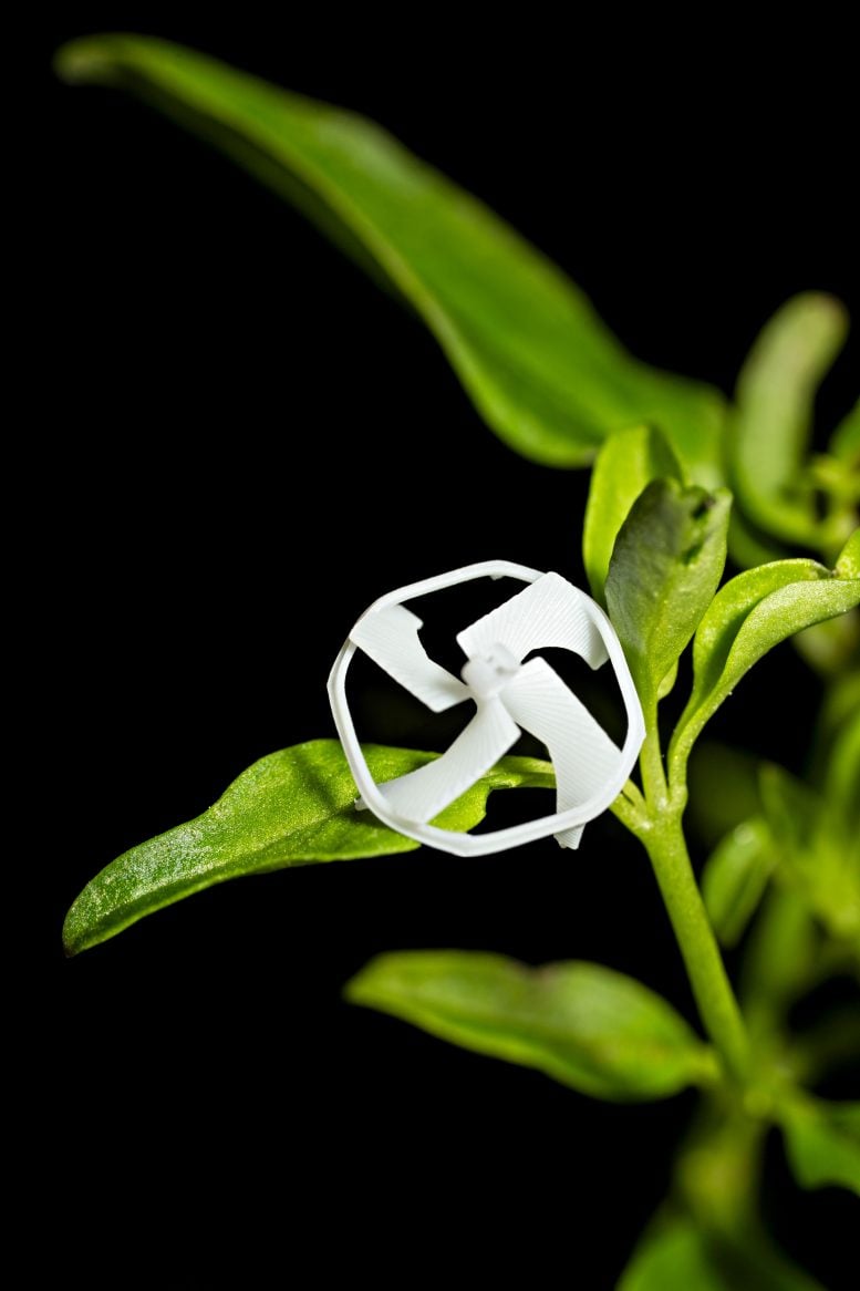 Wireless Flying Robot on a Plant
