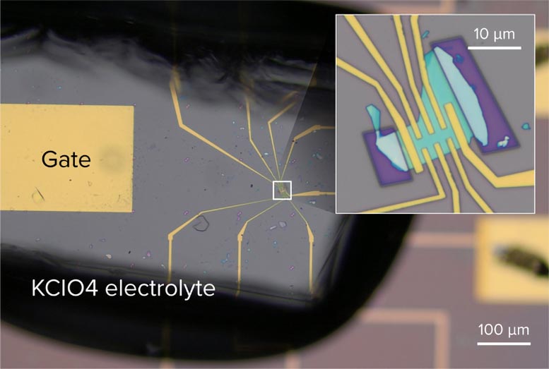 Field-Effect Transistor Molybdenum Disulfide