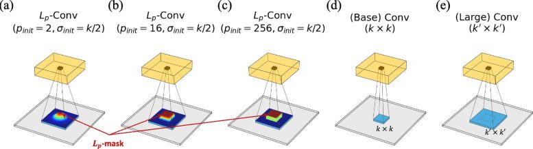 Brain Inspired Design of LP Convolution
