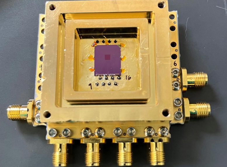 Superconducting Microwire Quantum Sensor