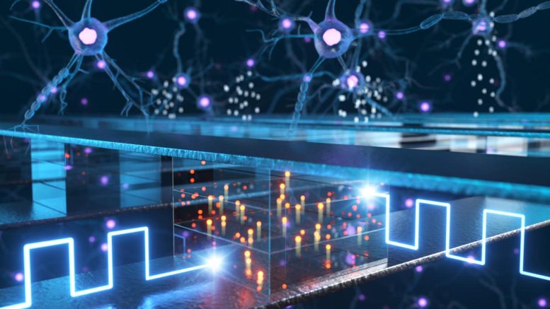 In Memory Computing Using Electrochemical Memory Devices