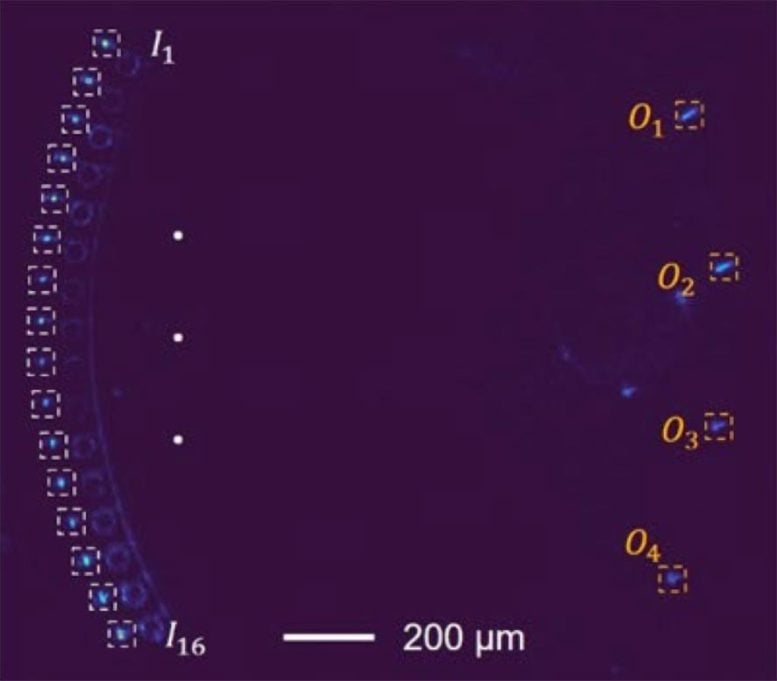 The Light Inside the Chip