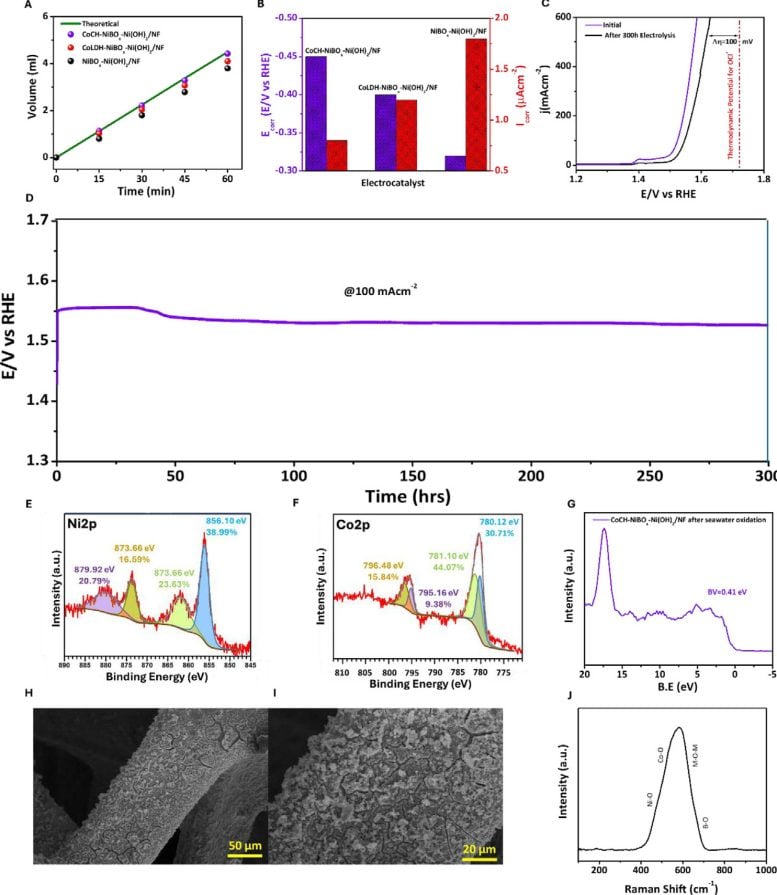 Electrochemical Performance, Surface Characterization, and Stability Analysis of Electrode After 300 Hour Alkaline Seawater Electrolysis
