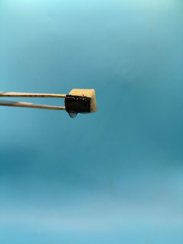 Invention of a Spongy Material Absorbing Water From Thin Air