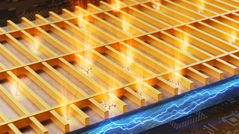 Self-Illuminating Biosensor