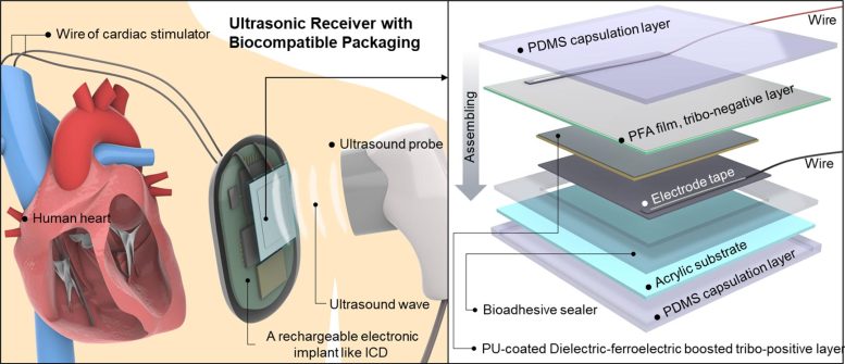 Conceptual Overview and Internal Schematic of the Device