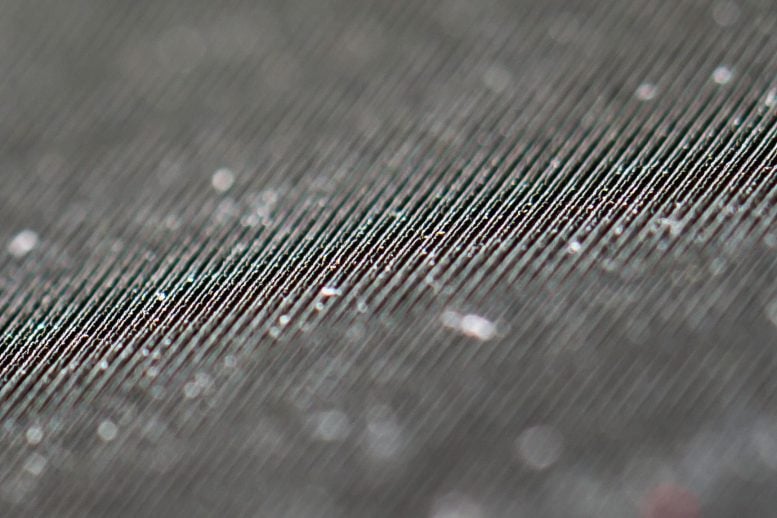 Close Up of Laser Etched Nanostructures