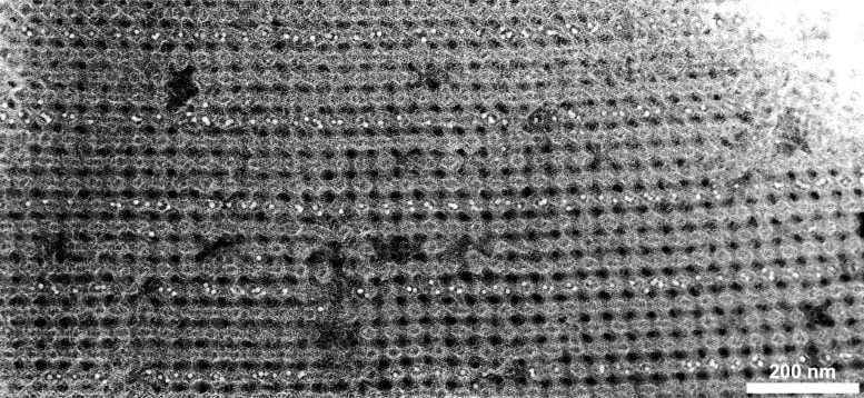 3D Nanoparticle Assembled Using DNA-Programmable Bonds