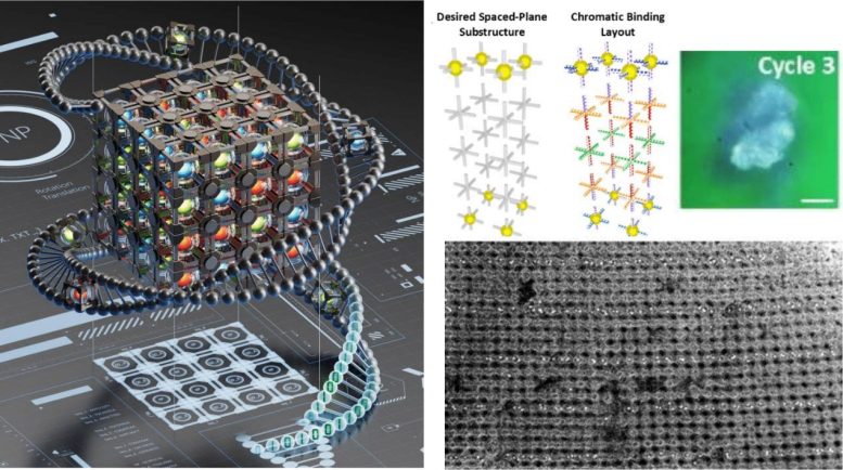 DNA 3D Material Compiled