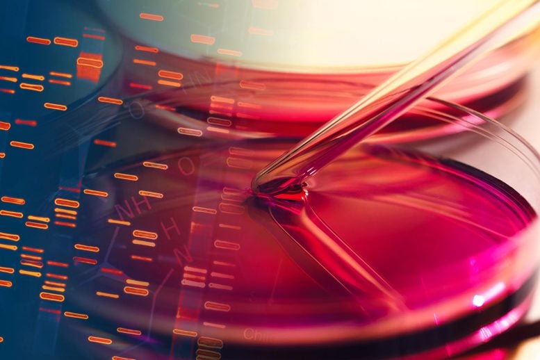Liquid DNA Petri Dish