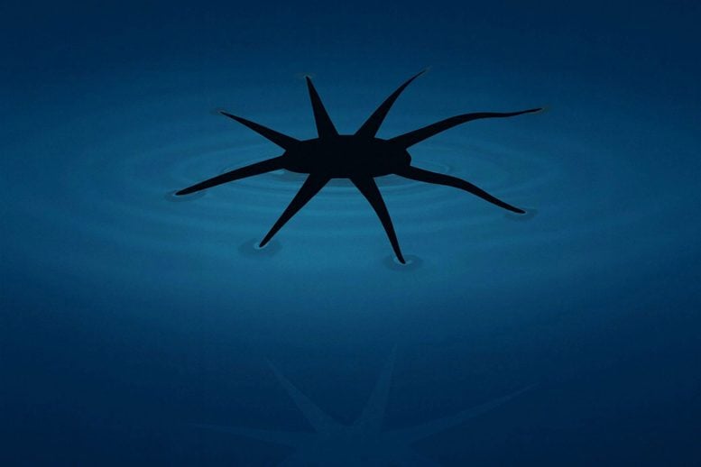 HydroBuckler Prototype