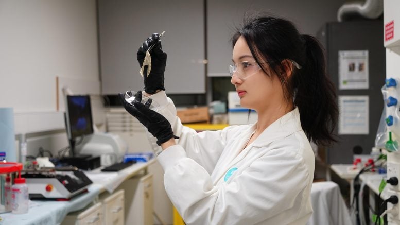 Wanqiao Liang Inspecting Materials