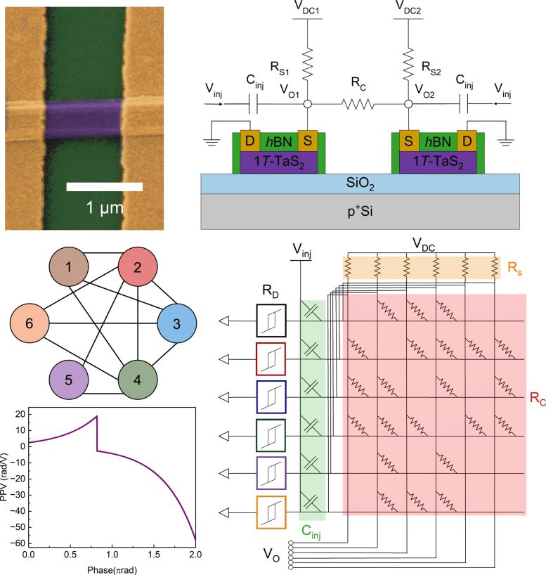 Scanning Electron Image and Circuit Diagrams of Coupled Oscillators