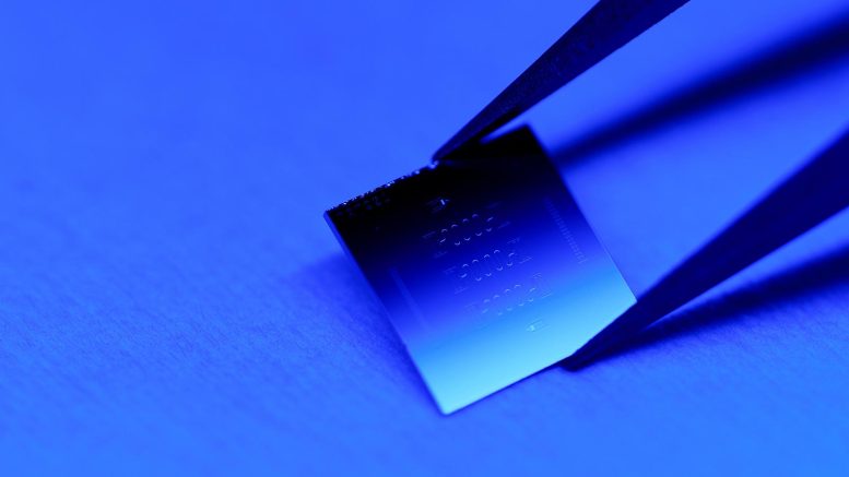 Princeton Quantum Chip