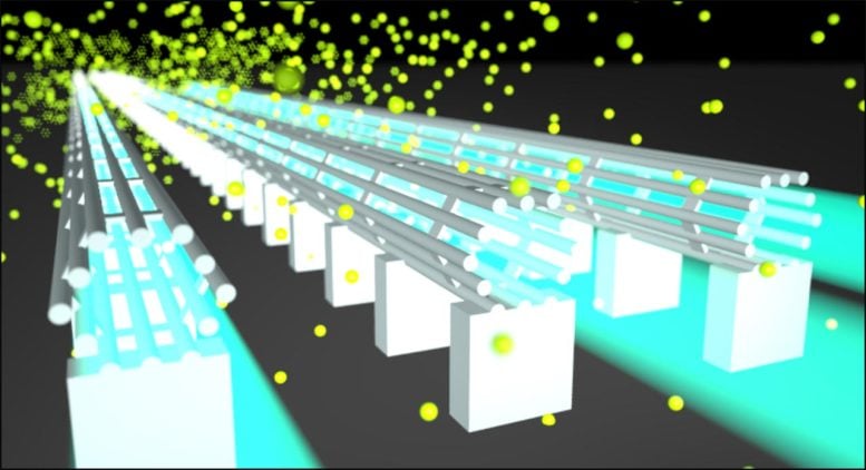 Light Cages for Enhanced Light-Matter Interaction