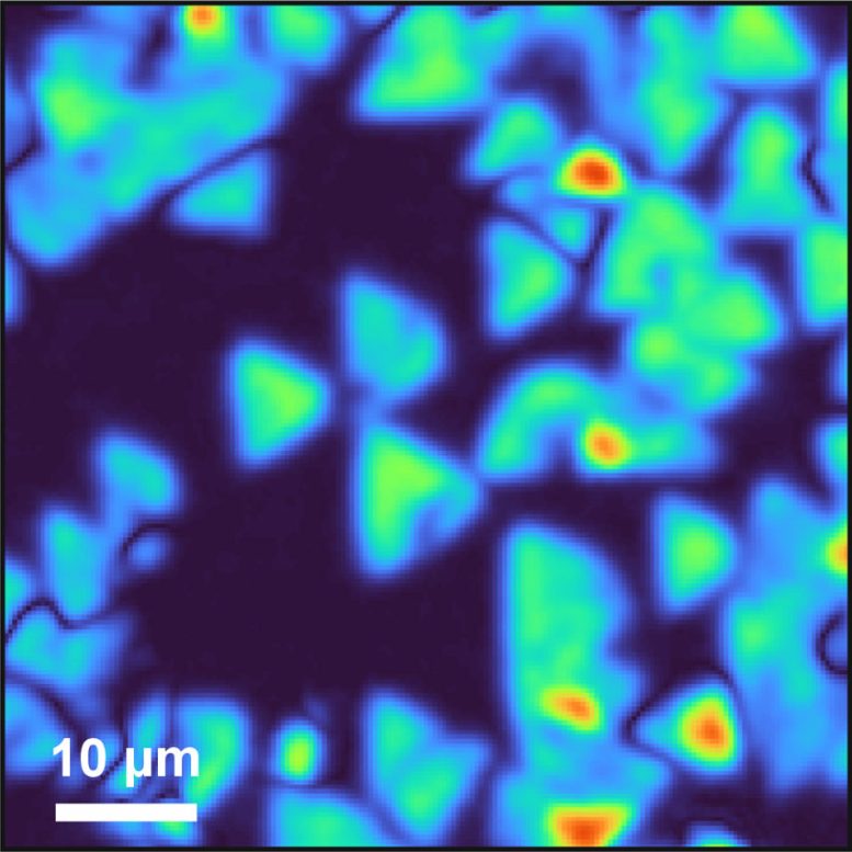 SFG Microscopy Image of Boron Nitride Monolayer Flakes