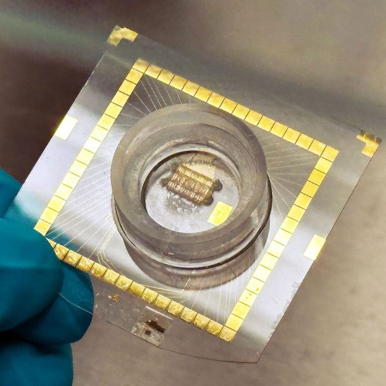 Biological Neuron Chip With Electrodes